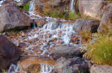 water 2007.jpg